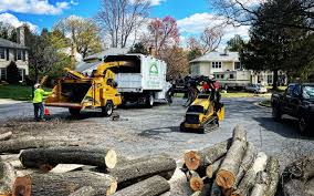 Best Firewood Processing and Delivery  in Edgard, LA