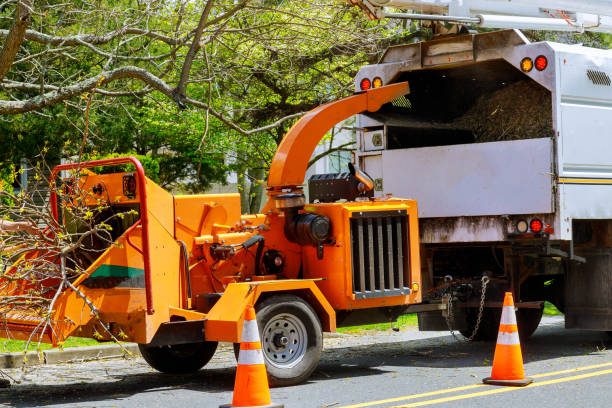 Best Tree Mulching  in Edgard, LA